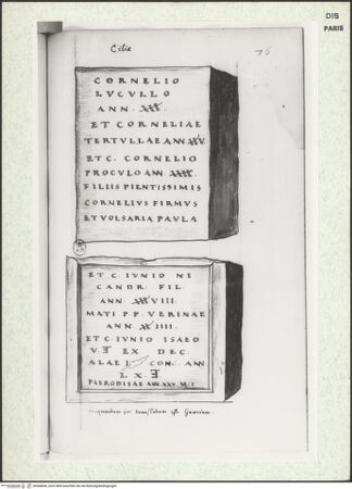 Vorderseite von bh368856_recto