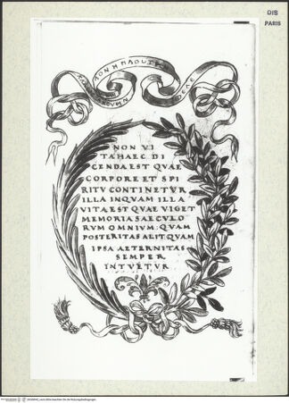 Vorderseite von bh368942_recto