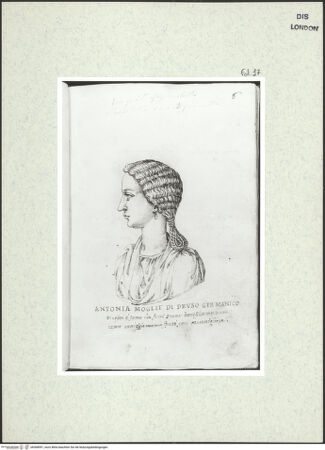 Vorderseite von bh368991_recto