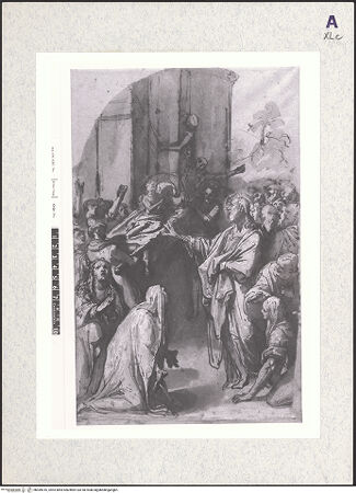 Vorderseite von bh369016_recto