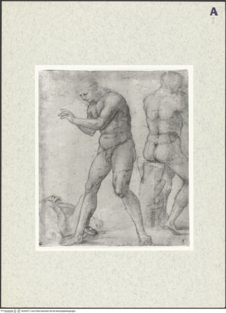 Vorderseite von bh369577_recto