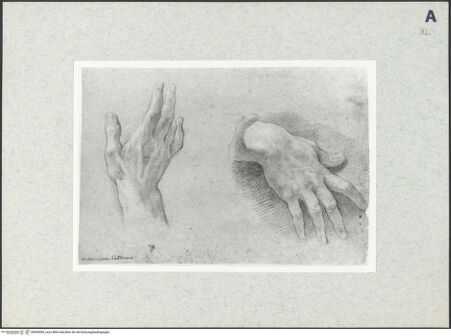 Vorderseite von bh369580_recto