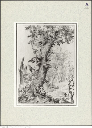 Vorderseite von bh369589_recto