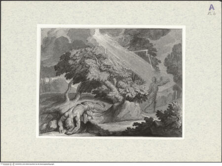 Vorderseite von bh369593_recto