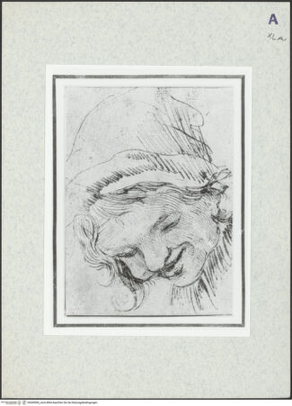 Vorderseite von bh369596_recto