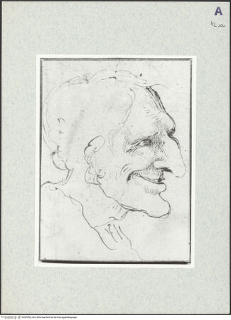 Vorderseite von bh369598_recto