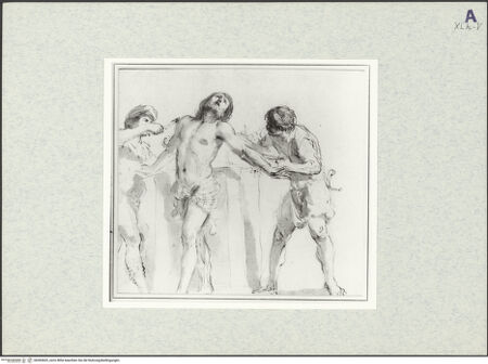 Vorderseite von bh369605_recto