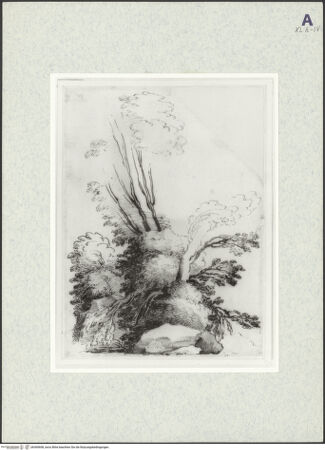 Vorderseite von bh369608_recto