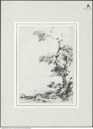 Vorderseite von bh369611_recto