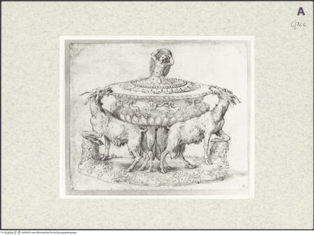 Vorderseite von bh369619_recto