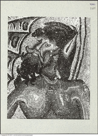 Vorderseite von bh369711_recto