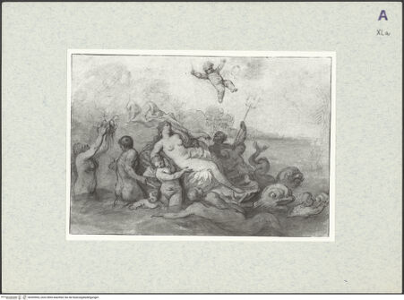 Vorderseite von bh369965_recto