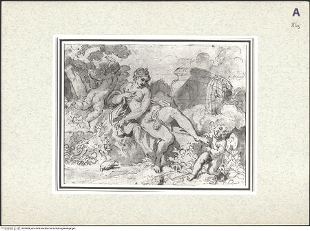 Vorderseite von bh369980_recto