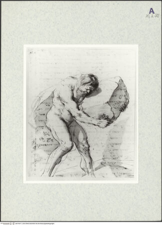 Vorderseite von bh370017_recto