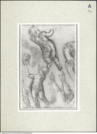 Vorderseite von bh370130_recto