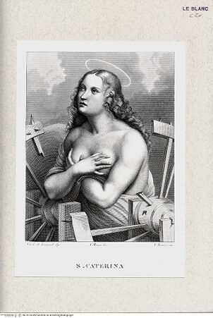 Vorderseite von bh370155