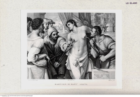 Vorderseite von bh370376