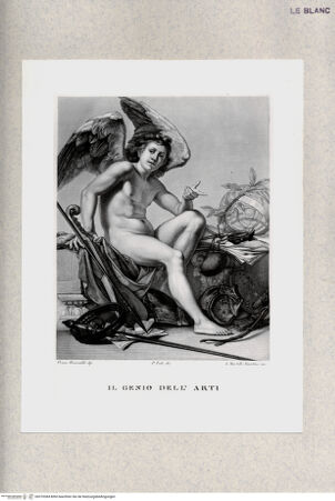 Vorderseite von bh370384