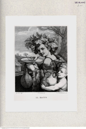 Vorderseite von bh370396