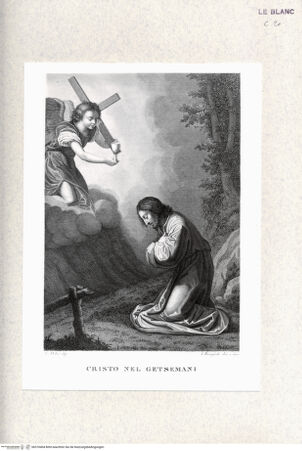 Vorderseite von bh370404