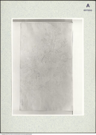 Vorderseite von bh370683_recto