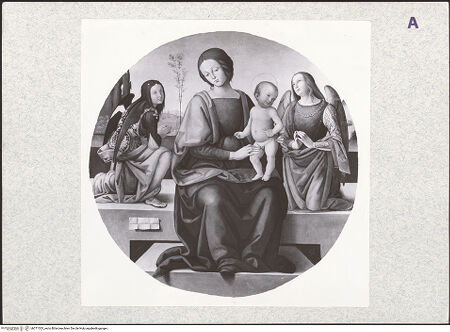 Vorderseite von bh371033_recto