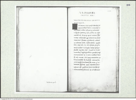 Vorderseite von bh371131_recto