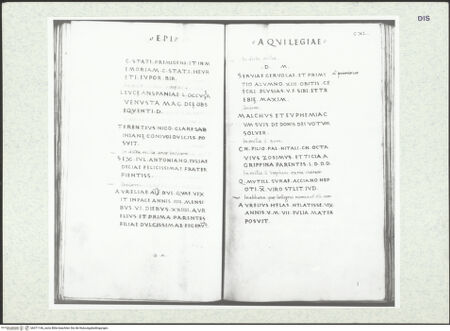 Vorderseite von bh371146_recto