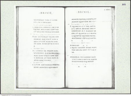 Vorderseite von bh371149_recto