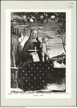 Vorderseite von bh371566_recto