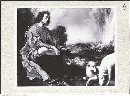 Vorderseite von bh371724_recto