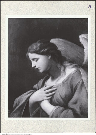 Vorderseite von bh371752_recto