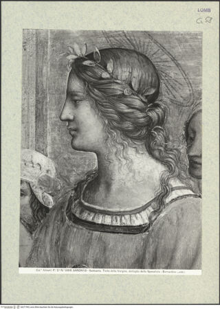 Vorderseite von bh371993_recto