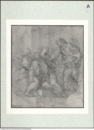 Vorderseite von bh372184_recto