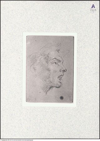 Vorderseite von bh372196_recto