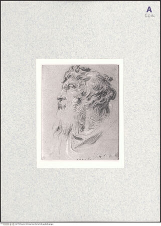 Vorderseite von bh372205_recto