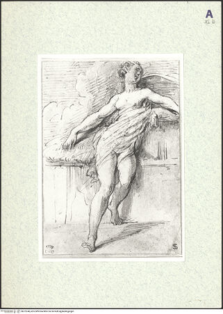 Vorderseite von bh372248_recto