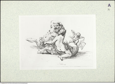 Vorderseite von bh372260_recto