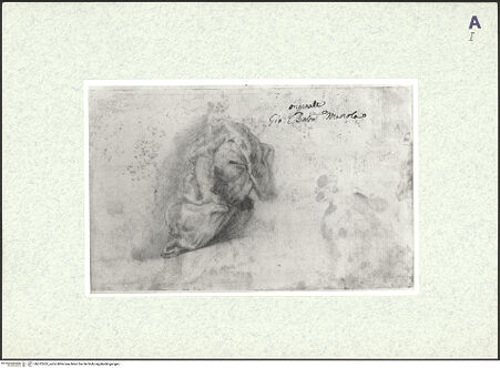 Vorderseite von bh372263_recto