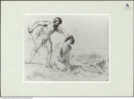 Vorderseite von bh372268_recto