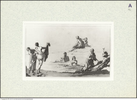 Vorderseite von bh372274_recto