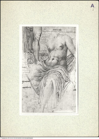 Vorderseite von bh372307_recto