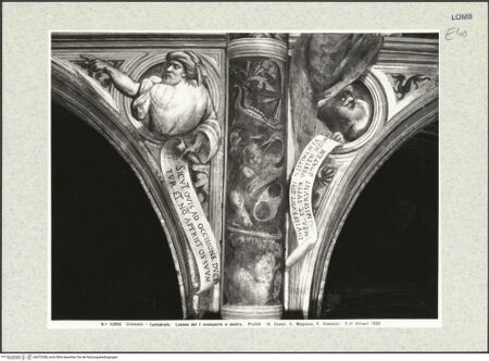 Vorderseite von bh372358_recto