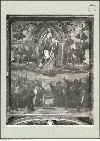 Vorderseite von bh372438_recto