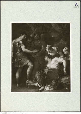 Vorderseite von bh372688_recto