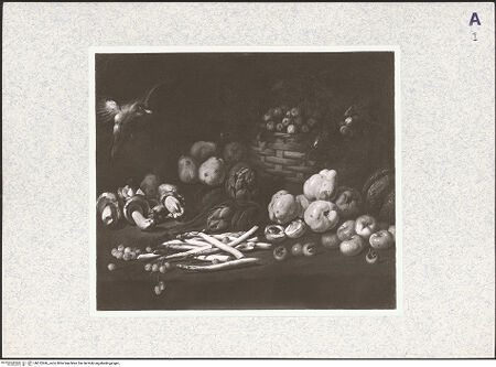 Vorderseite von bh372696_recto