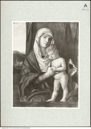 Vorderseite von bh372703_recto