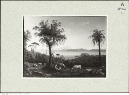 Vorderseite von bh372710_recto