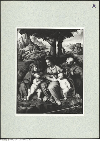 Vorderseite von bh372738_recto