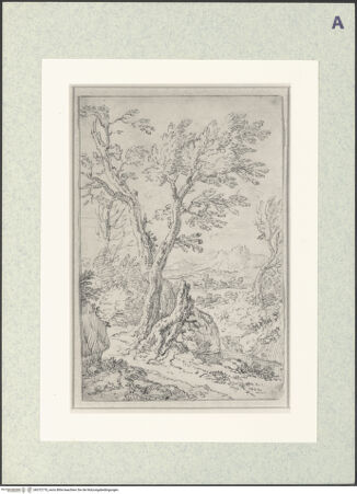 Vorderseite von bh372770_recto